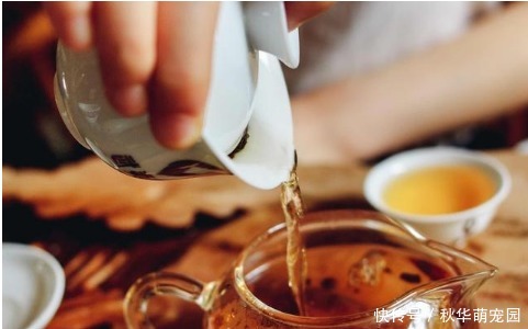 喝茶会加重冠心病还是会减轻冠心病?最新研究给出答案