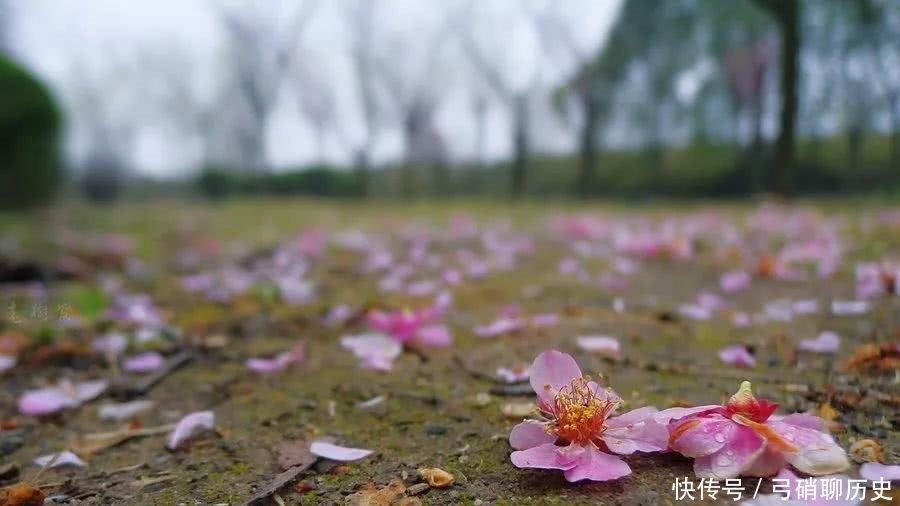 老年|烟雨夜读 深知身在情长在