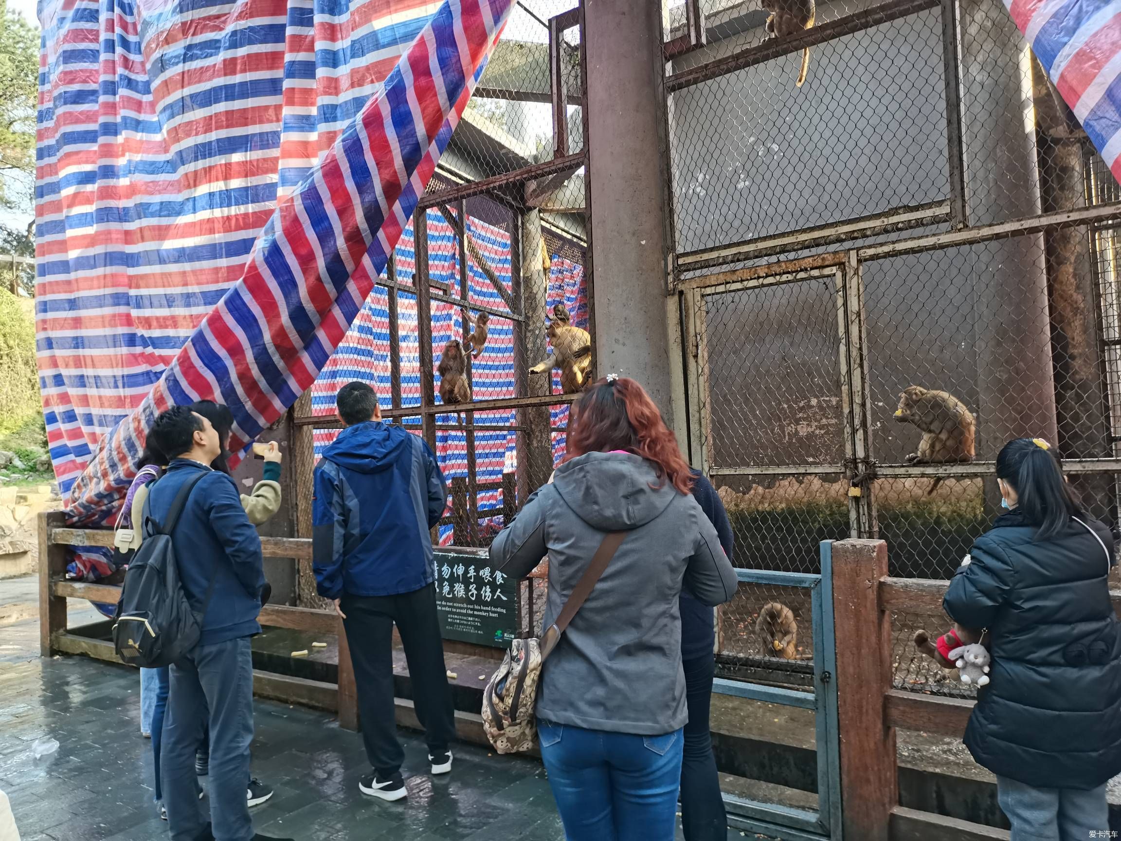 情人节逛森林公园