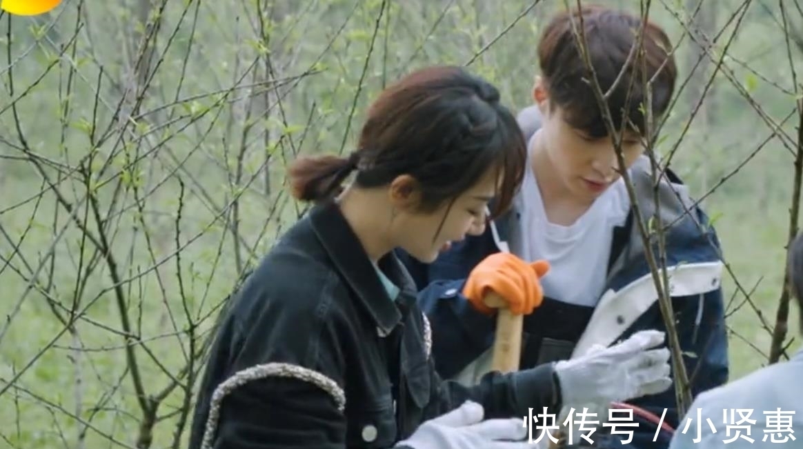 杨紫,求你可别再上《向往的生活》了