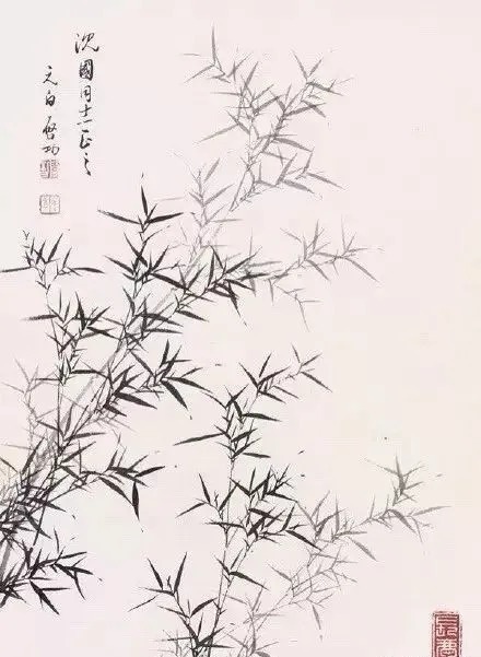 画竹@启功画竹大全，清秀至极！