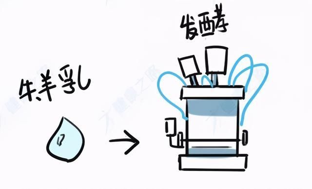 红糖|超市里的“假红糖”、“假肉”、“假酸奶”，1分钟学会辨别