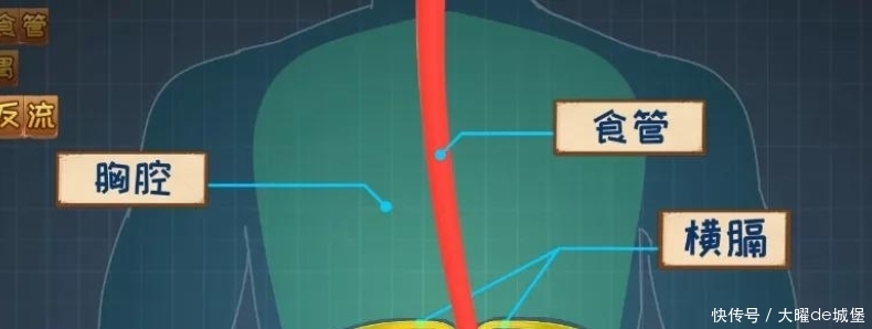 胃食管反流咋回事?反酸烧心背后真相是啥?胃食管反流发病机制