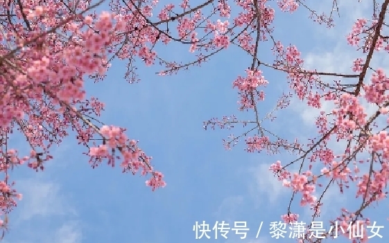 春雨&宋代诗僧的一首名作,技法高妙,短短四句话,却美不胜收