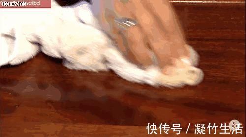 啤酒里加点这个,厨房油污一擦就干净,太省事啦