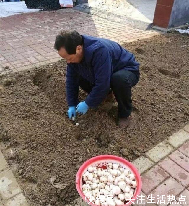 旧农舍改造成花园,一年四季花开不断,邻居看了羡慕的不得了!