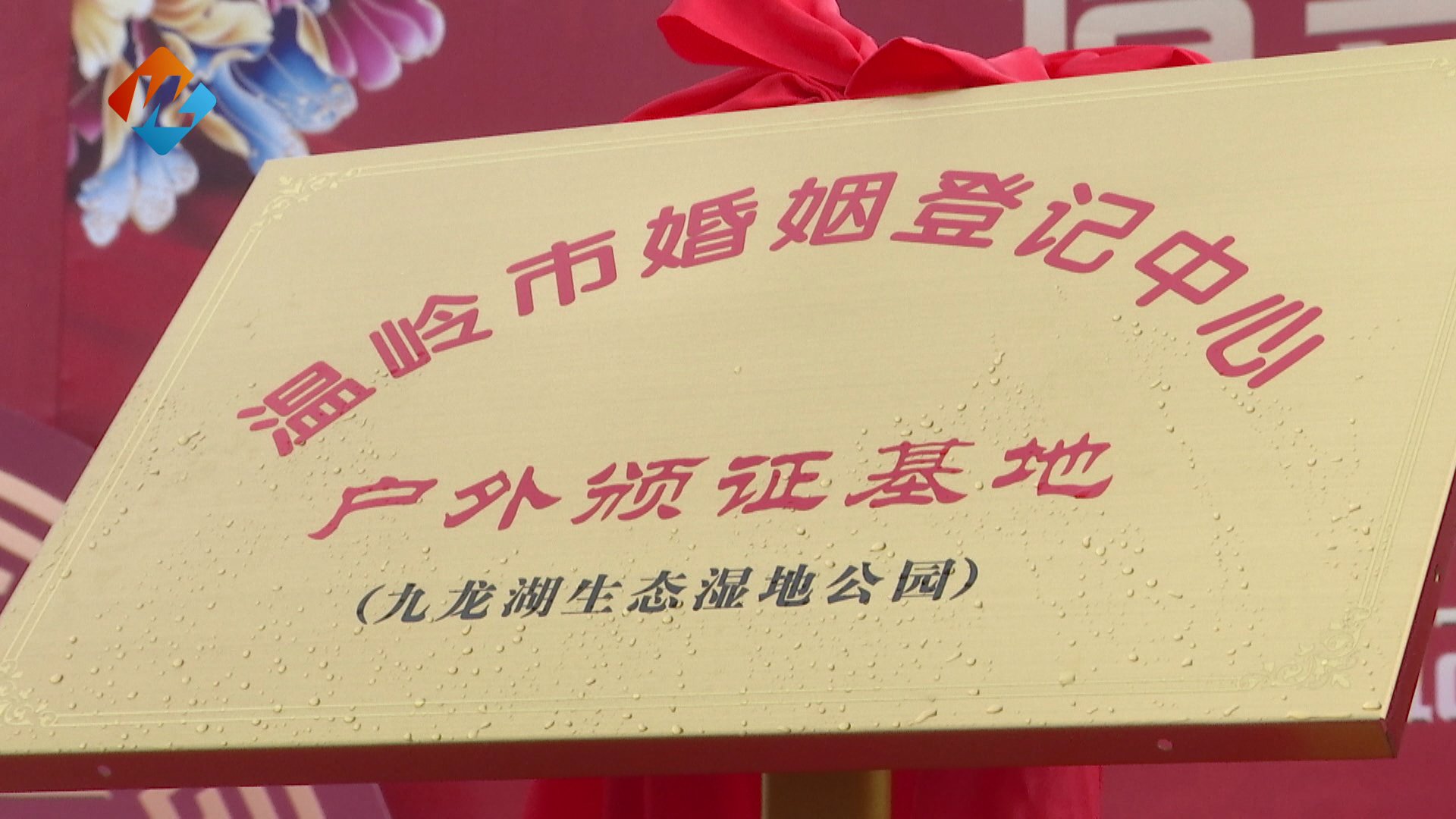 大操大办|温岭举行首届户外集体颁证仪式 18对新人喜结连理 共倡文明婚俗