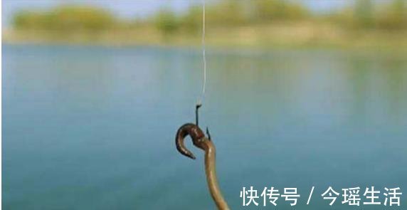 雨天钓鱼,钓法如何选?实践经验供你参考