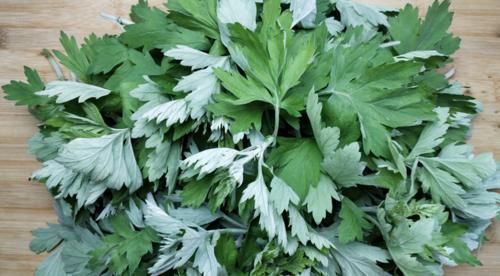 痛经|坚持用艾叶泡脚的人，最后怎么样了？不妨早了解再做决定吧