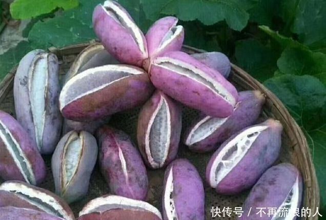 提高免疫力|想长寿全靠吃,3种食物不能少,排毒养颜,提高免疫力