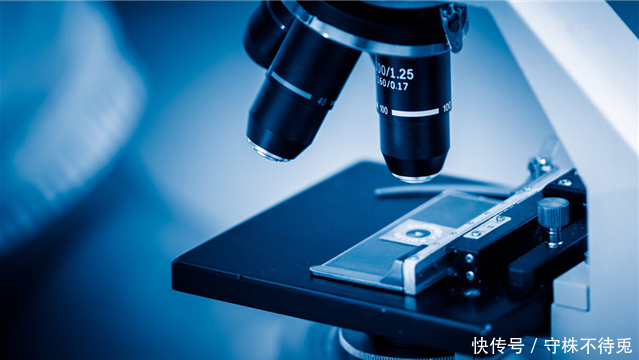 能量|12个冷知识:可以使人感到有趣,但却没有地方能够使用的奇怪知识