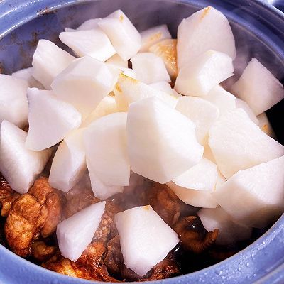 糖色|红烧鸡肉炖土豆
