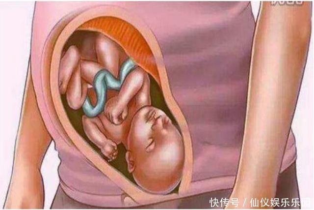 孕育生命究竟是什么样的？十张图带你看怀孕全过程，生命来之不易