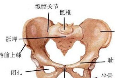 骨缝|生孩子开骨缝是咋回事是女人身体的骨头与骨头接缝都打开了吗