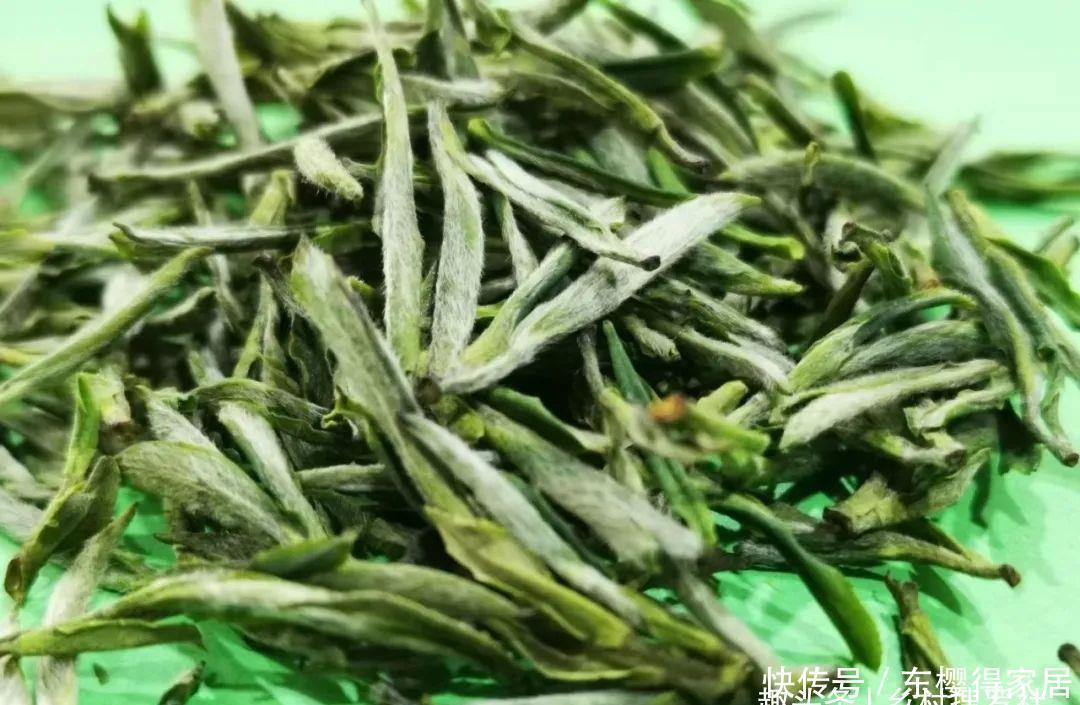 花盆|茶叶渣放兰花盆可以吗？兰友：到时候就后悔了