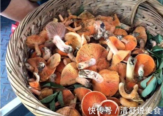 那些乡村野味,你吃过多少太美味了