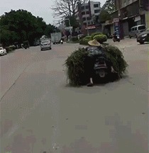 |搞笑GIF:大家都散了吧 今天这婚怕是结不成了