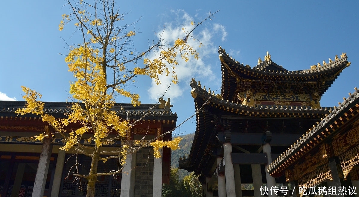 四川金山寺出家人,口出恶言骂香客,事情的背后,真的那么简单?