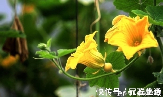 效忠!鬼谷子识人术一个人有没有出息,看这三点就够了