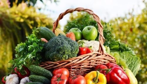 神经细胞|如何做个健康长寿的老人?遵守6大黄金原则,每个人都能做到