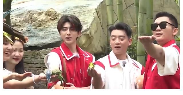 蔡徐坤|绿水青山就是金山银山 跟随蔡徐坤一起走进中国美丽乡村