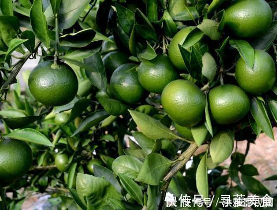 身体健康|高血压患者，不能吃以下4种水果，会影响身体健康