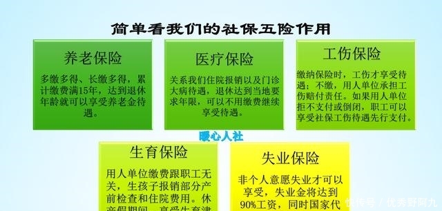 社保代理公司如何助力现代企业高速发展?