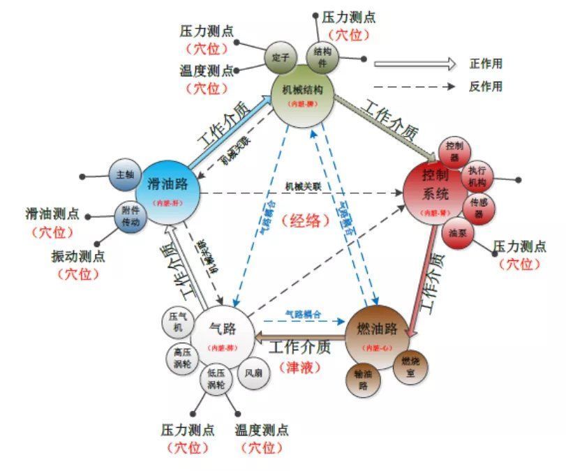 熟蛋转生绿豆发声，中医修飞机，世界源于湖南？伤害不大侮辱极强