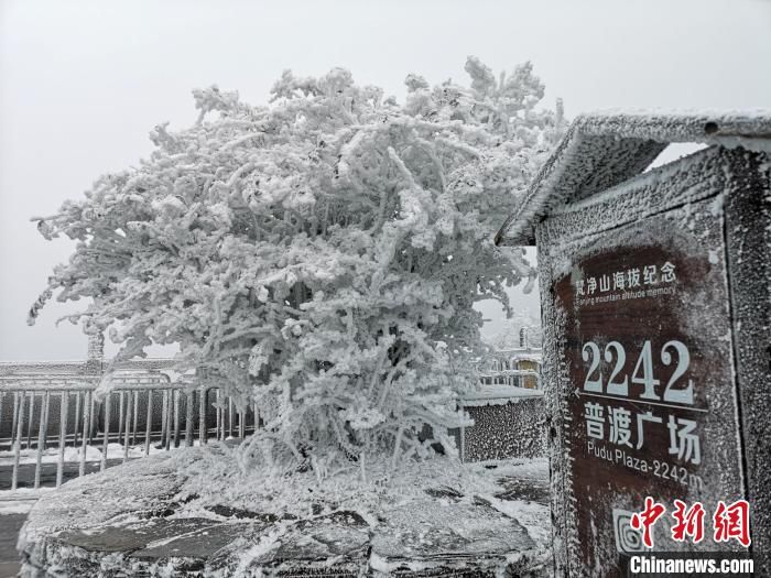 遗产地|世界自然遗产地梵净山迎入冬初雪宛如仙境