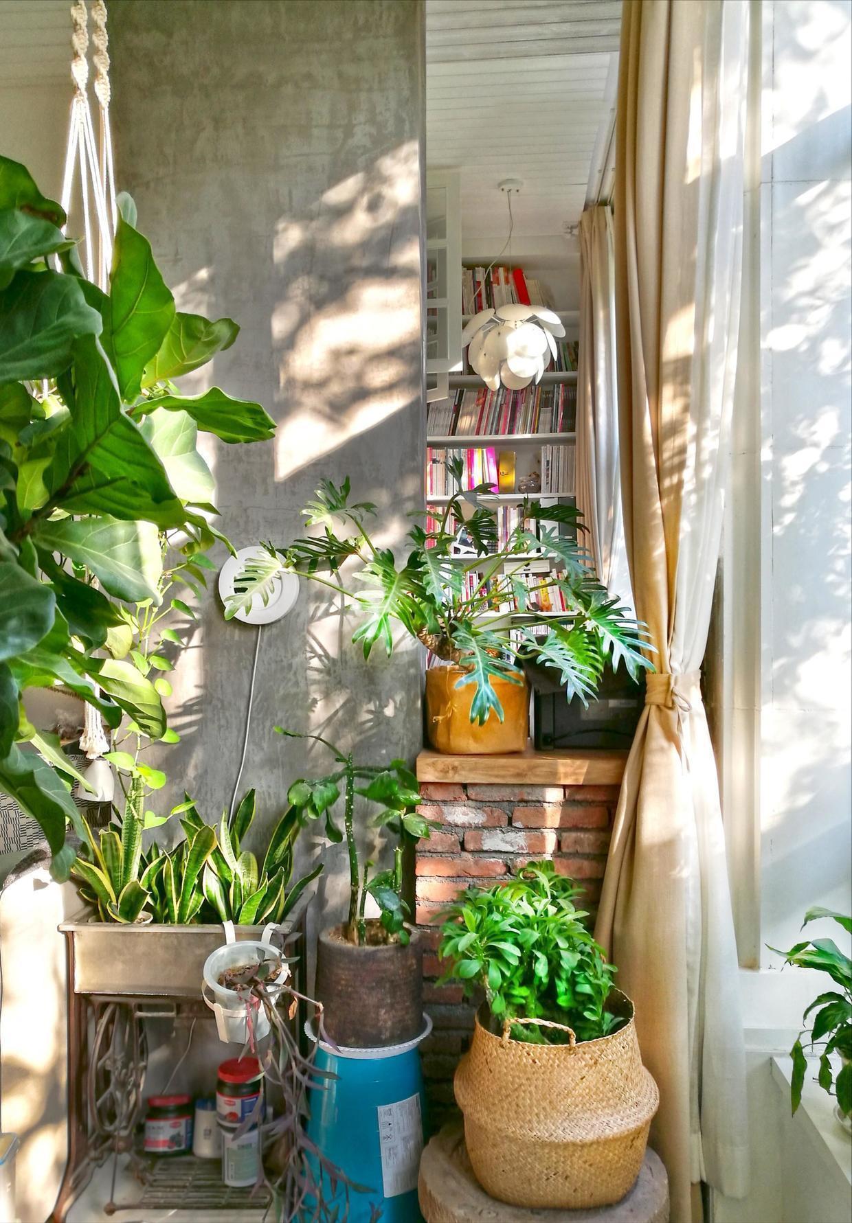 改造|她买下学区房,76㎡挤出8个房间,一层爆改两层,邻居都看呆了