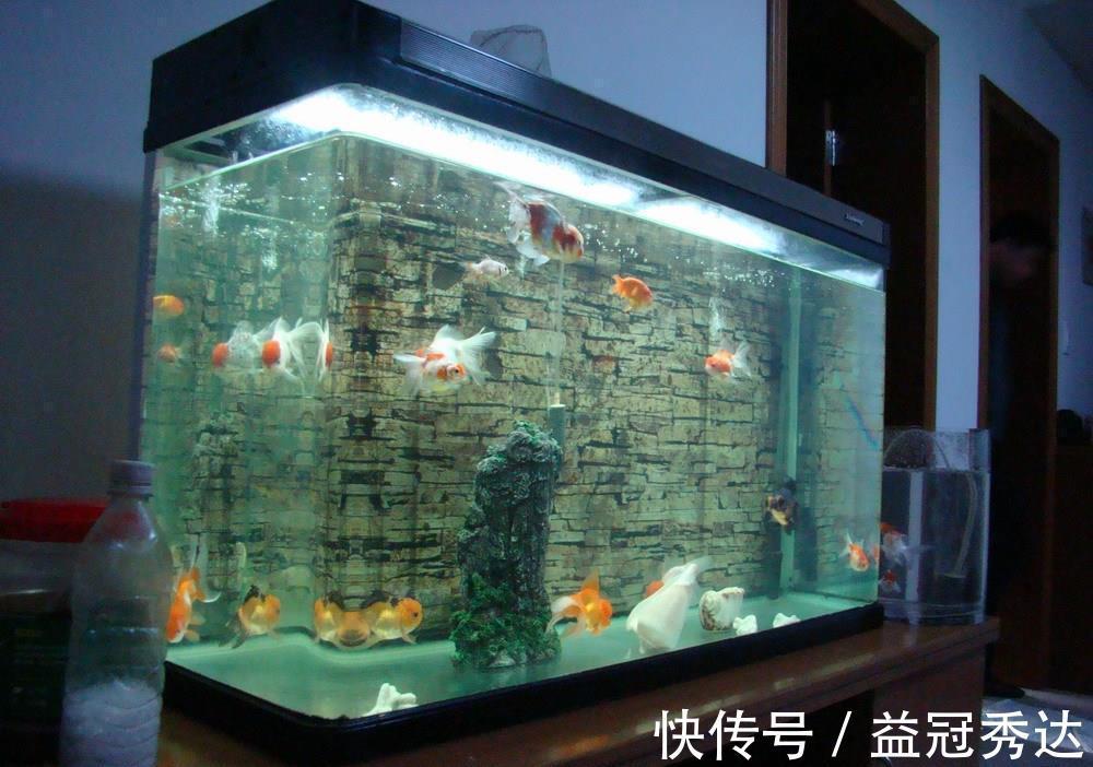 晾衣架|盘点闲置率最高的家居用品,不要再跟风买了