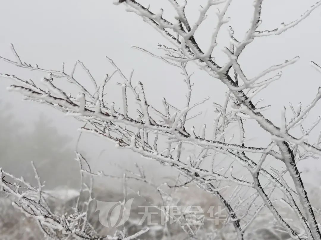 新闻记者|浙江多地下雪！一地积雪厚度达3公分……