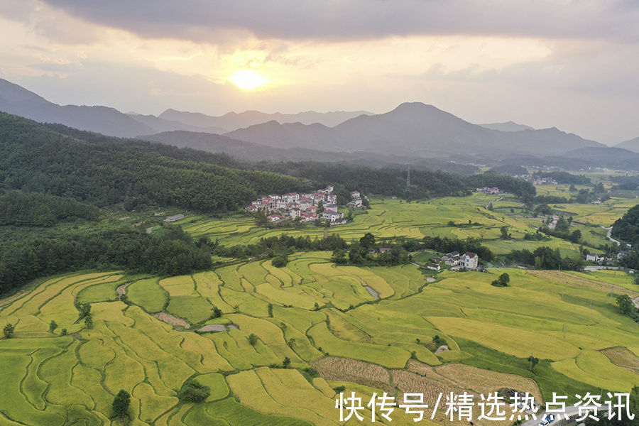 梯田|宣城旌德：白露节气到 梯田入画来