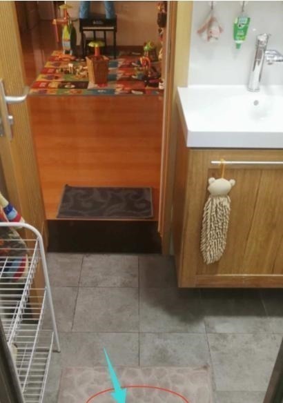 三分离|家中只有一个厕所,她坚持做“三分离”!完工后太实用了,晒晒!