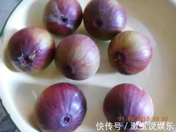 花友|这种水果枝条阳台一插，1年就挂果，果实太多压弯枝！