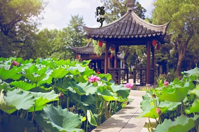 时辰!读懂十二时辰,就懂了我们的一生