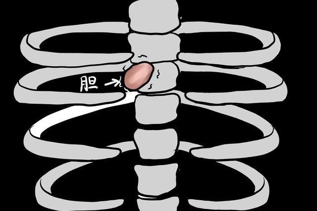 追击|司马懿强行让张郃追击诸葛亮,是为了坑死张郃,为自己铺路吗