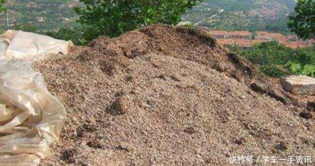 茉莉花不用花钱买，家里有一盆变出好多盆，全靠这一招！