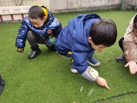 高能预警！人类幼崽花式赏雪还有人提笔作诗