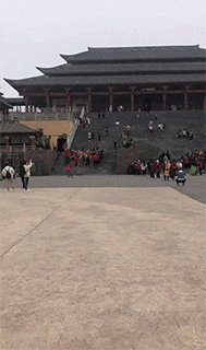 |搞笑GIF:闺蜜说她找到了男朋友,差点我就相信了