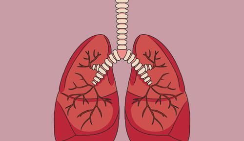  身体|肺癌患者补充营养，到底有多重要？吃什么能全面补充营养？
