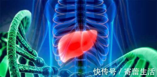 肝细胞|肝不好不要怕，常吃6种食物，增强肝功能，肝脏或越来越健康
