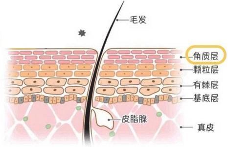 提取物|哺乳期可以用护肤品吗？会不会被婴儿吸收？这些成分要避开