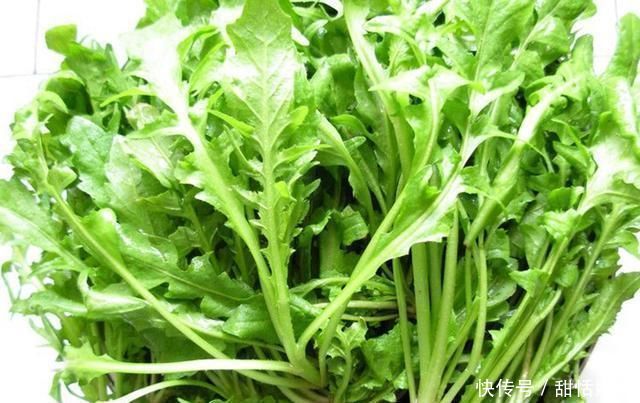 田边1“野草”,学名护生草,以前到处见,如今却很少
