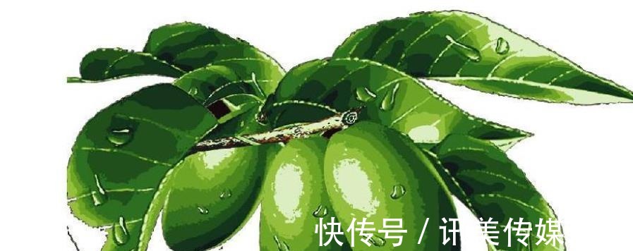 炎症|比“抗衰”更重要!它才是日常护肤的刚需,很多人都做错了