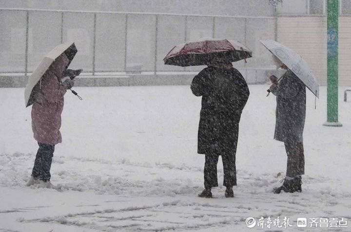 下雪|立冬下雪太好玩了，山东师大学生们玩疯了