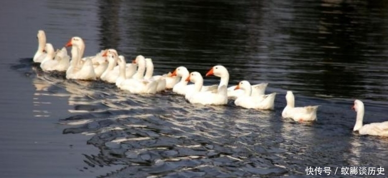 朱熹这首诗充满了深刻的哲理,短短28个字,读来让人受益匪浅!