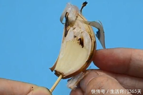 打火机|大蒜用打火机烤一下,没想到还有这个妙用,10个人9个人不知道