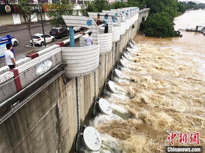 广西|广西柳州今年首现超警戒洪水 防洪人员坚守一线