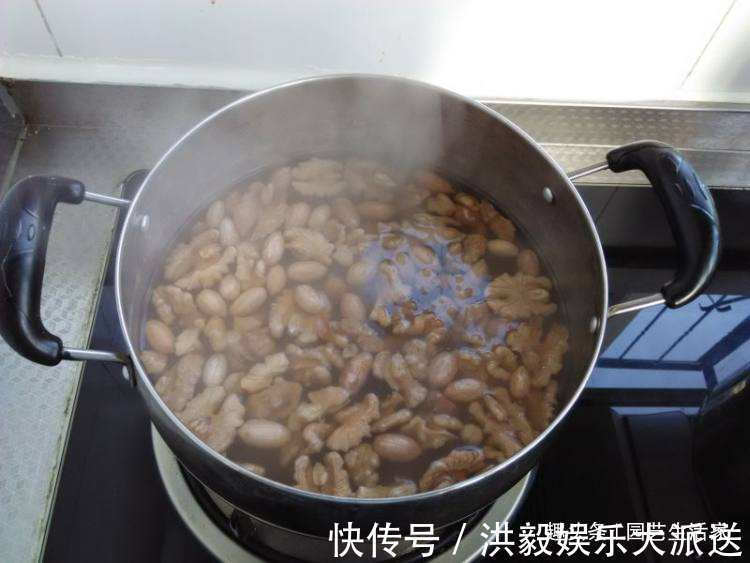 花生米|养玉树,盆底埋上10粒它,1年后,枝条老化长成老桩,值钱了